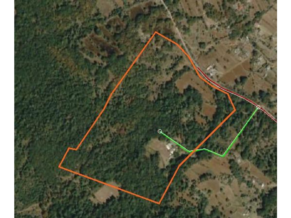 TERRENO EN VENTA 19 HECTAREAS EN TULANCINGO - 1