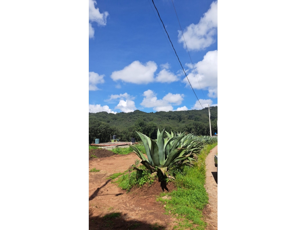 Terreno en Omitlan de Juárez