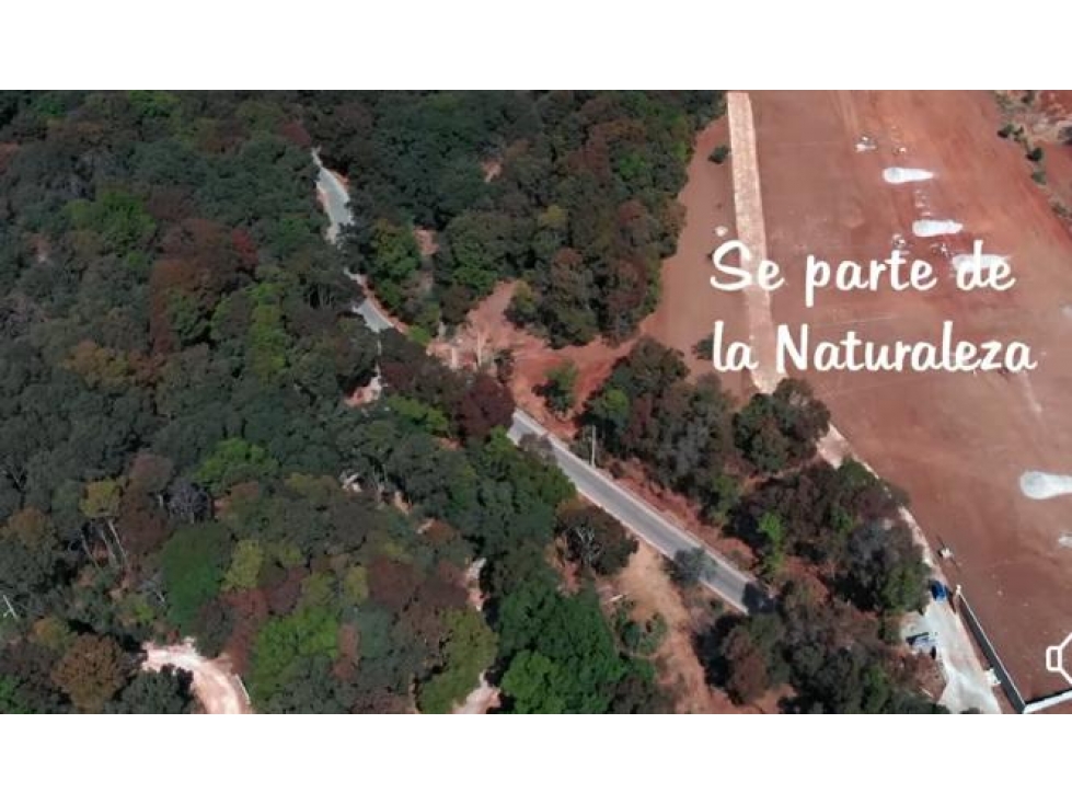 Venta de Lotes en Omitlán Rumbo a Carboneras — foto 3