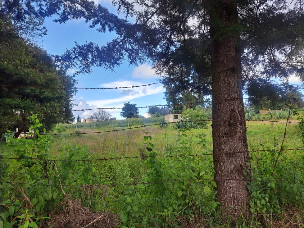 Terreno en Venta en Omitlán de Juárez — foto 2