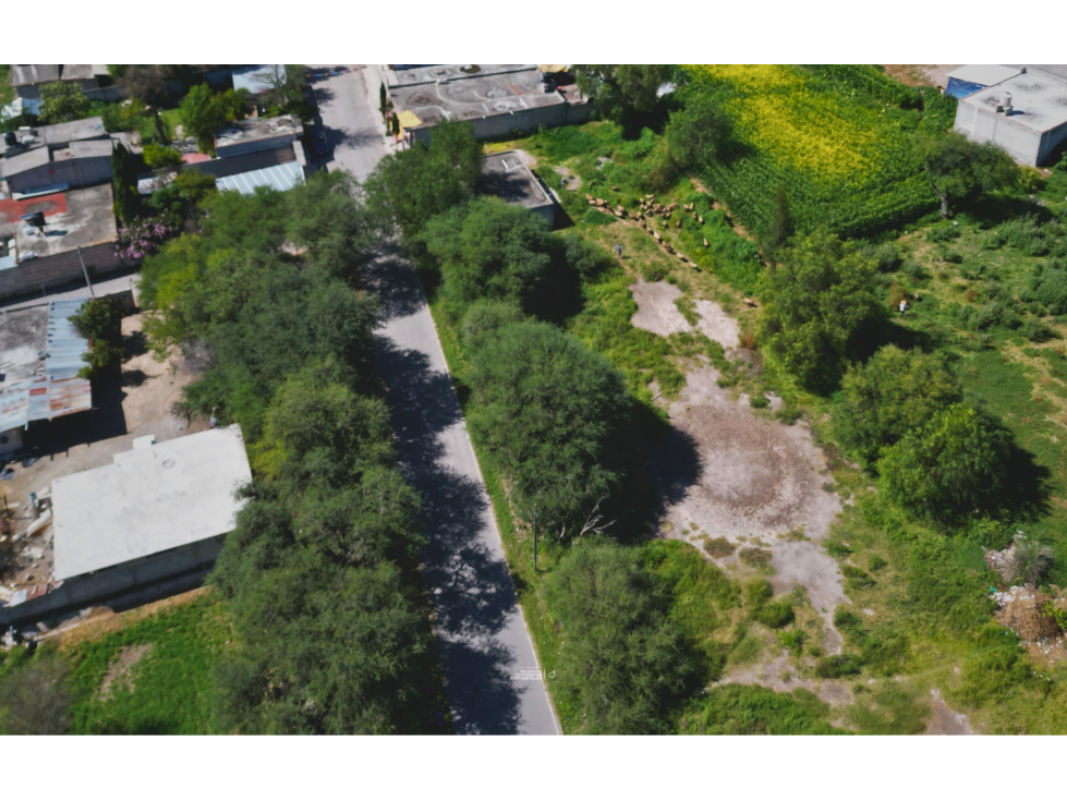 Terreno en Venta en Zona Centro de San Salvador, Hidalgo — foto 2