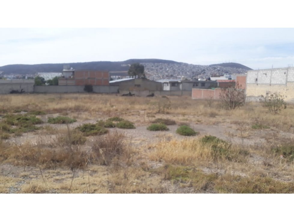 Venta de Terreno en Av. Colosio, Mineral de la Reforma — foto 5