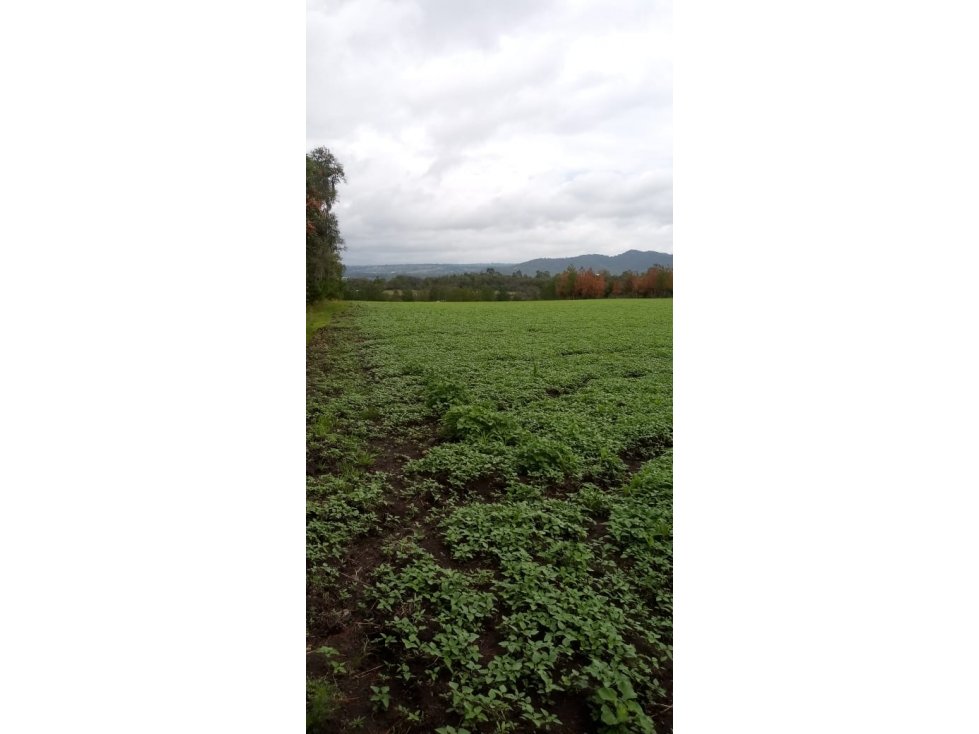 Terreno en venta en Huasca a 5 min de Museo de Duende - 4