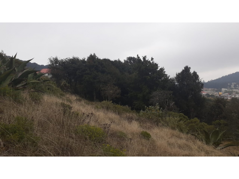 VENTA DE TERRENO EN REAL DEL MONTE - 6