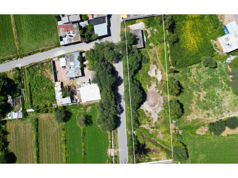 Terreno en Venta en Zona Centro de San Salvador, Hidalgo — foto 3