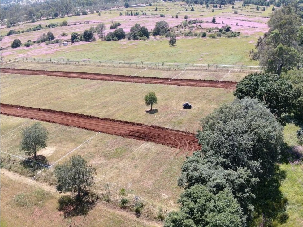 Venta de Lotes en Huasca de Ocampo - 3