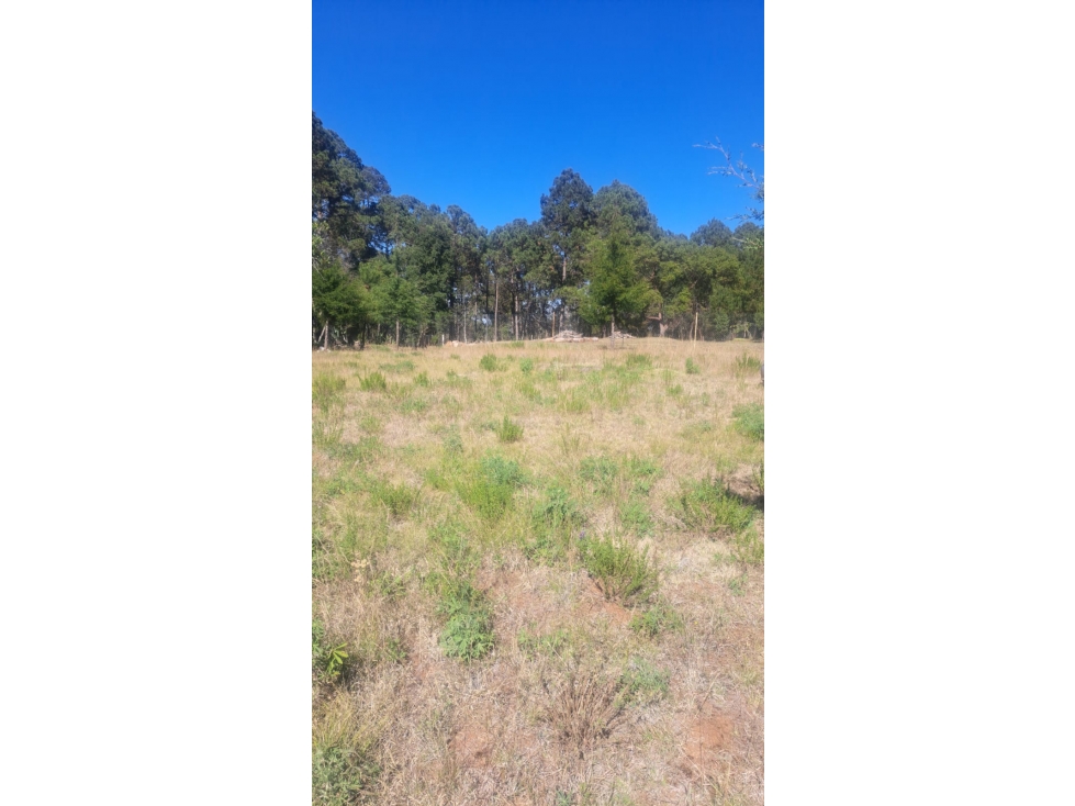 Terreno en Venta en Huasca de Ocampo — foto 3