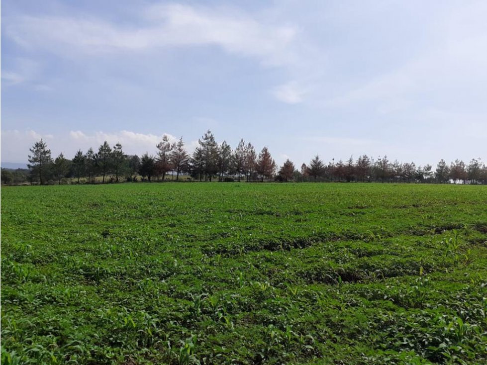Terreno en venta en Huasca a 5 min de Museo de Duende - 5