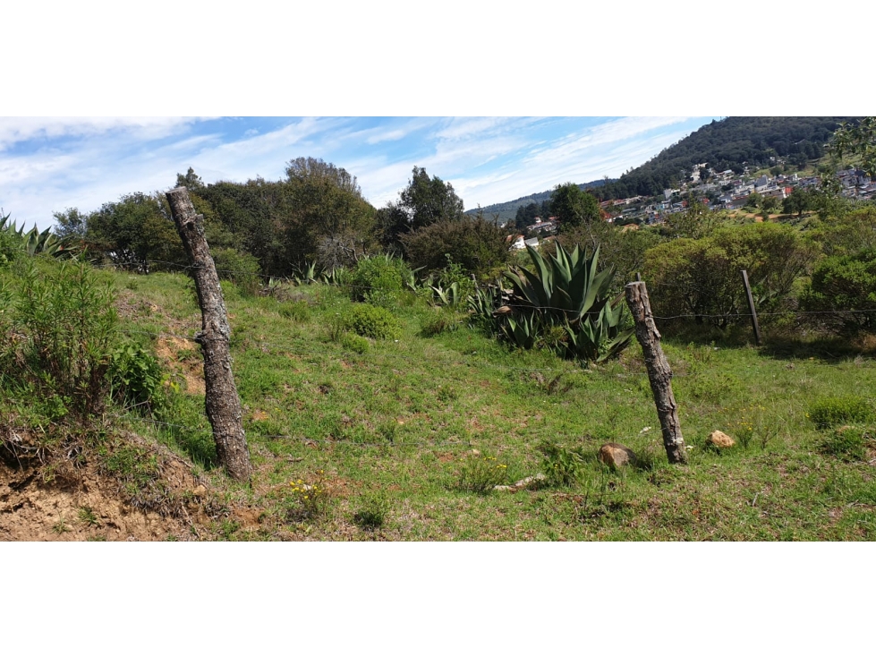 VENTA DE TERRENO EN REAL DEL MONTE - 5