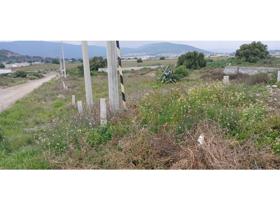 TERRENO EN VENTA SOBRE CARRETERA A ACTOPAN - 4