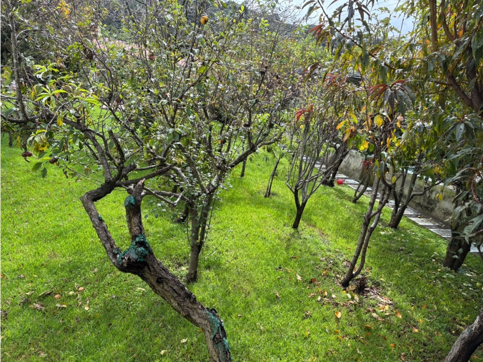 Venta de Terreno en Omitlán — foto 4