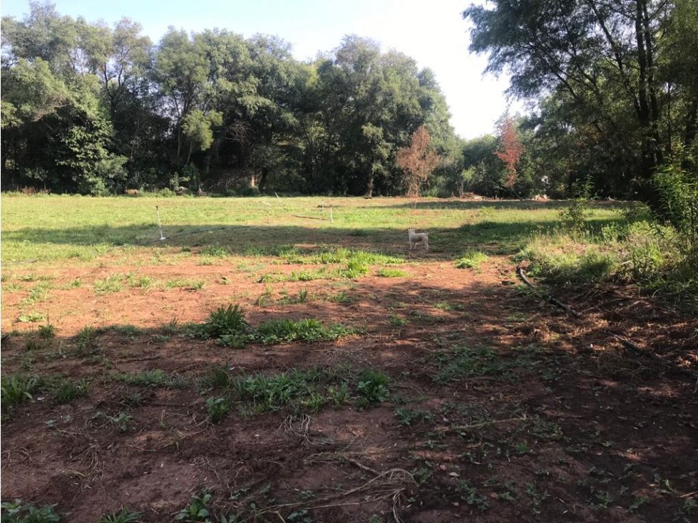 Venta de Terreno a 10 min de Huasca — foto 4