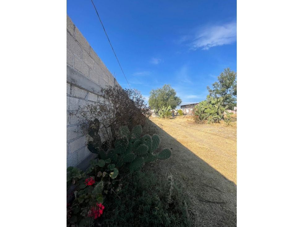 RANCHO EN VENTA EN MATILDE - 5