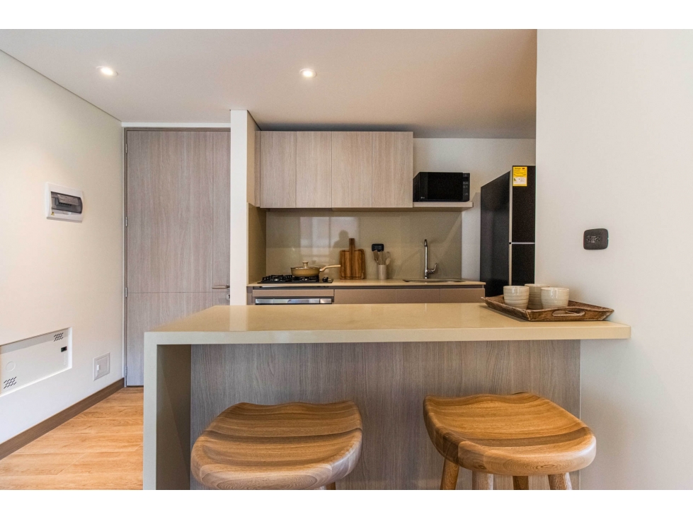 Apartamento en arriendo amoblado o sin amoblar en Salitre — foto 4