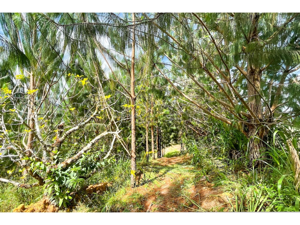 Finca-Glamping en venta en Vereda Betania, Carme de Viboral-Antioquia — foto 5