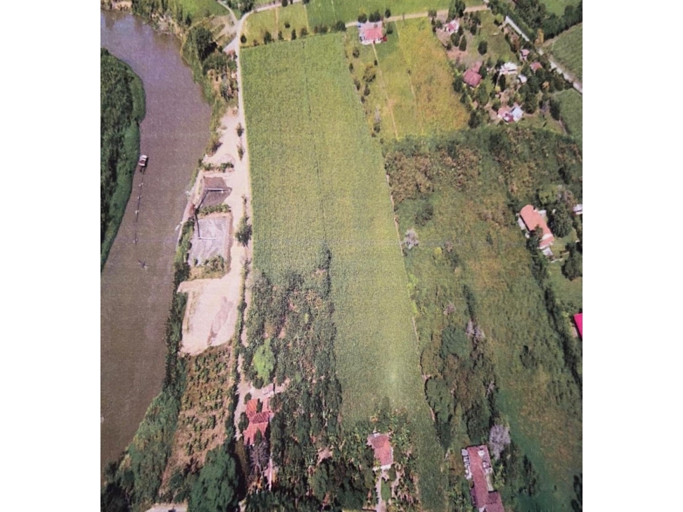 VENTA DE LOTE, SEMBRADO DE CAÑA, JAMUNDI. - 4