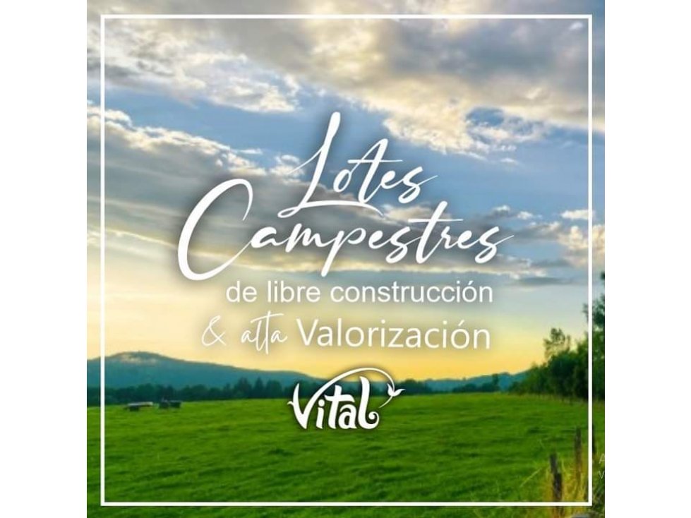 Lotes Campestres En Venta, Condominio Vital, Santa Rosa - 3