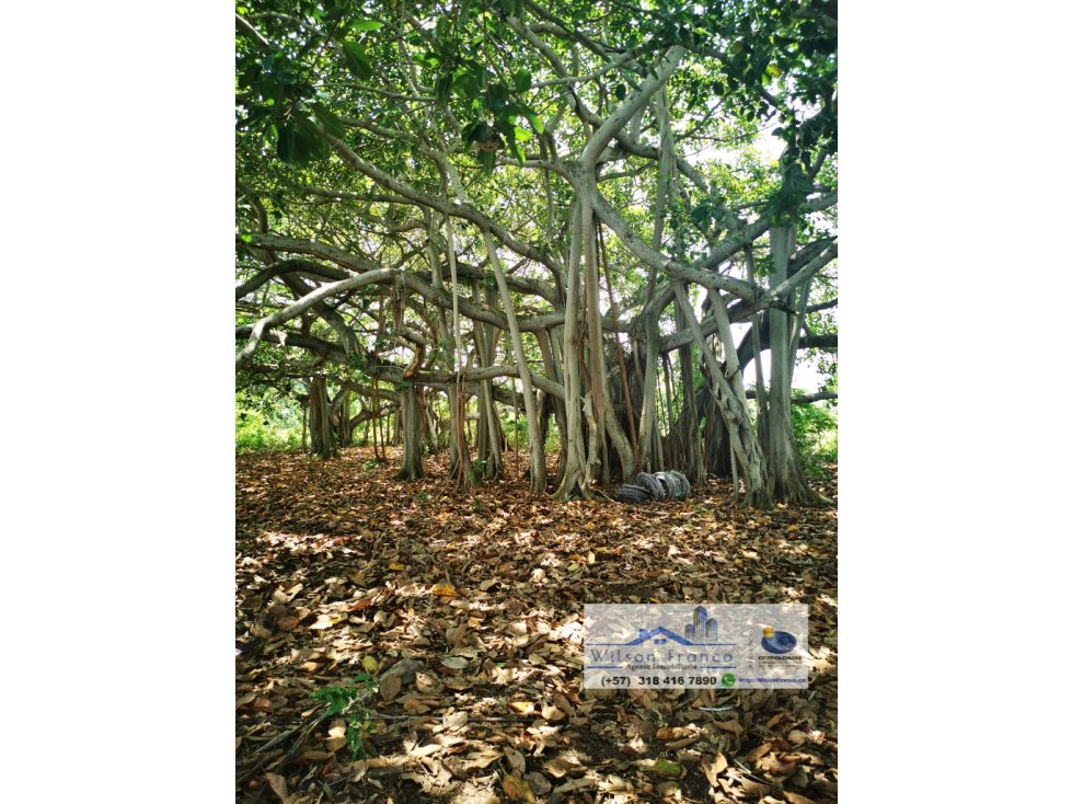 Lote Terreno en Venta, Playa, Isla Barú, Cartagena — foto 2