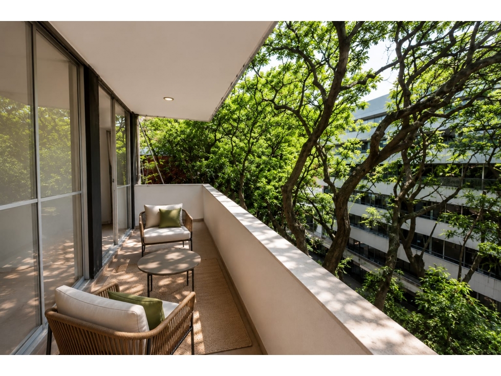 Venta departamento Polanco V sección