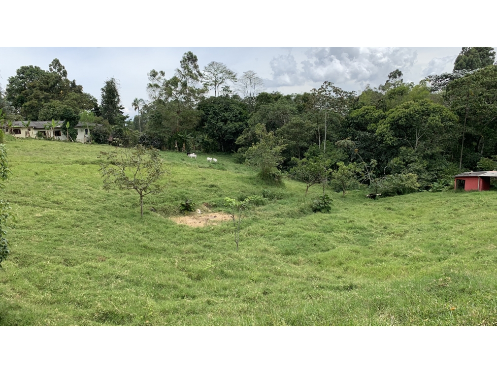 SE VENDE LOTE EN LA VÍA ARMENIA PEREIRA EN CONJUNTO CERRADO - 2