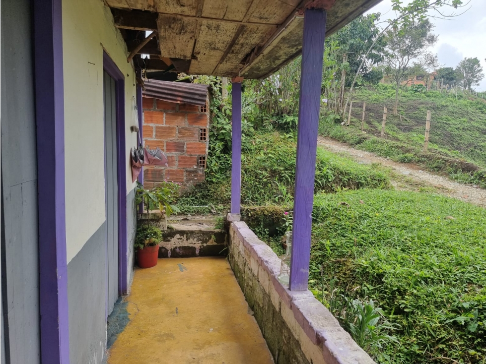 SE VENDE FINCA DE 8.4 CUADRAS EN FILANDIA - 2