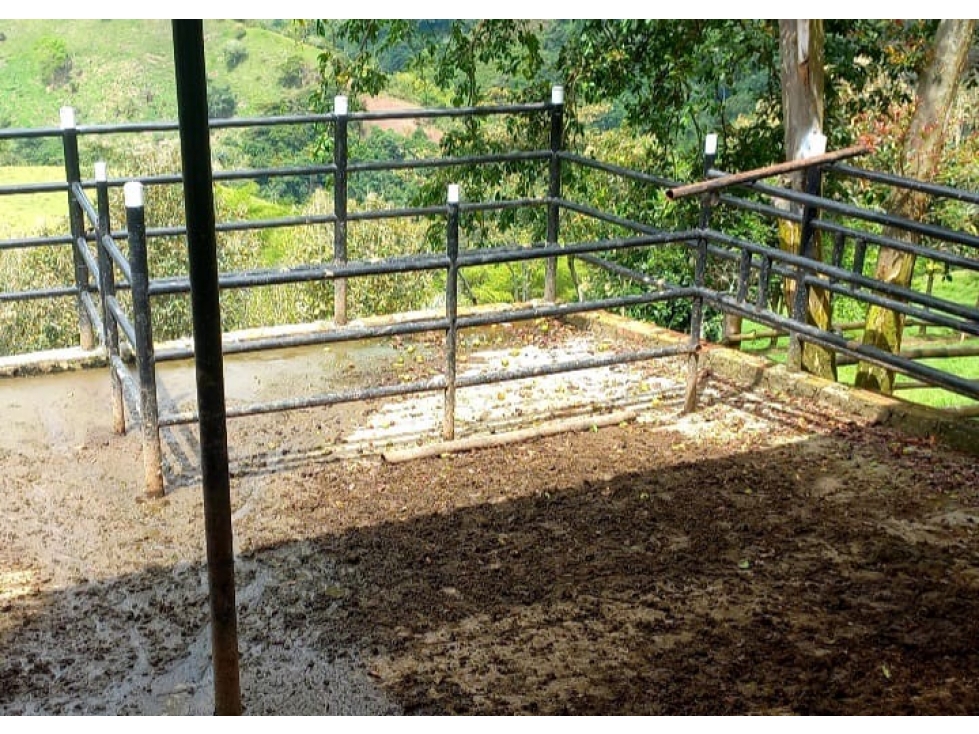SE VENDE FINCA GANADERA CERCA A BARRAGAN - 5