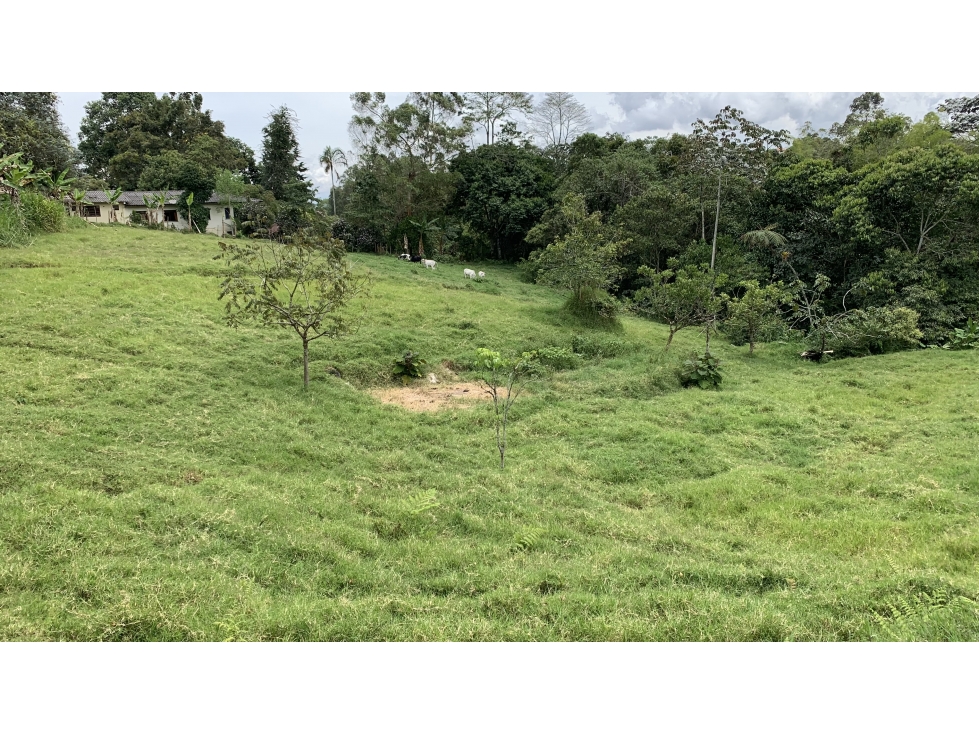 SE VENDE LOTE EN LA VÍA ARMENIA PEREIRA EN CONJUNTO CERRADO - 4