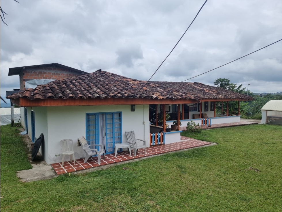 SE VENDE FINCA EN FILANDIA EN VIA ULLOA FILANDIA - 3