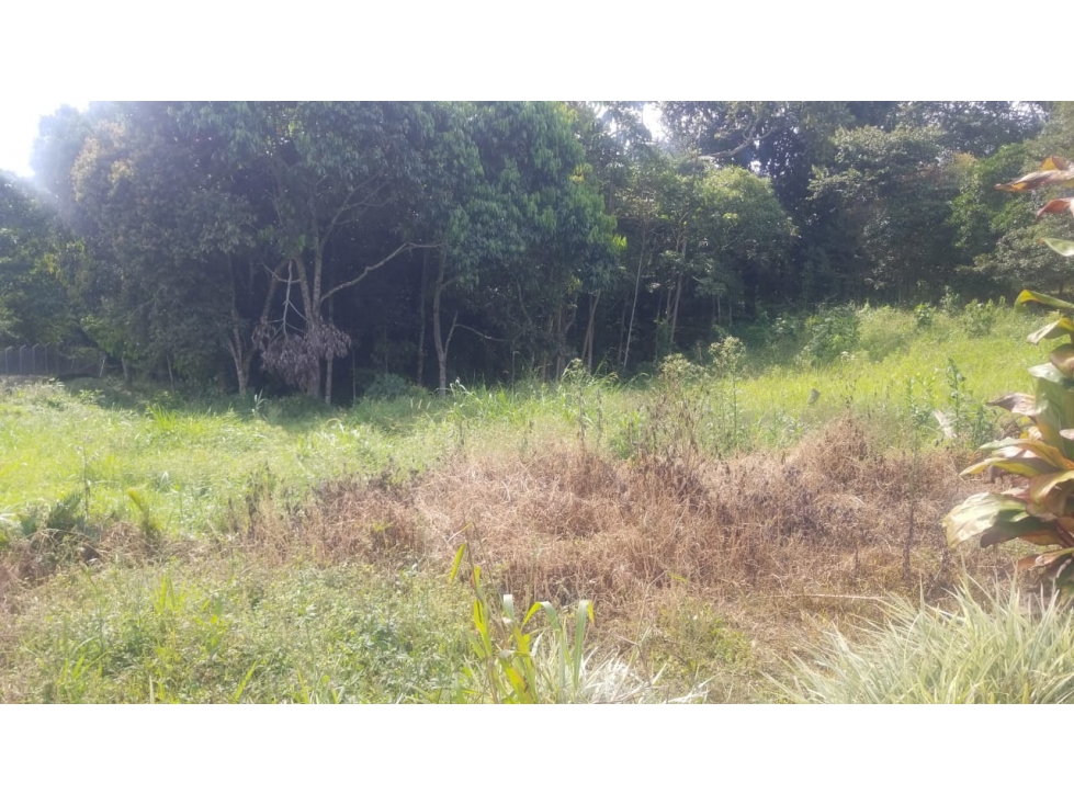 SE VENDE LOTE EN LA VIA CIRCASIA PEREIRA — foto 5