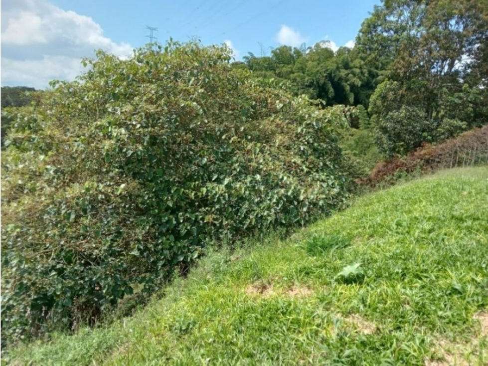 SE VENDE LOTE CONJUNTO CERRADO PARCELACION DE LOS NARANJOS