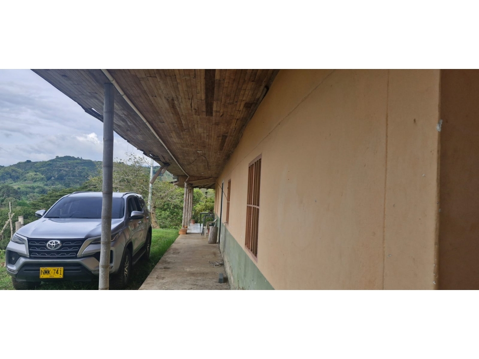 SE VENDE FINCA VEREDA LA CABAÑA CERCA A CAICEDONIA - 5