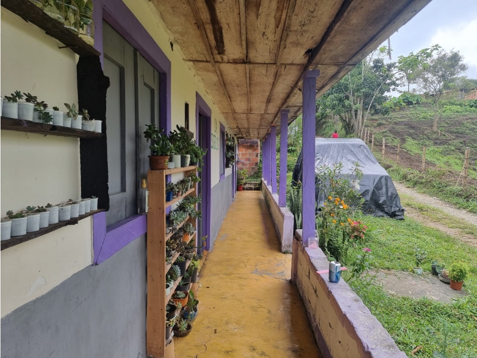 SE VENDE FINCA DE 8.4 CUADRAS EN FILANDIA - 1