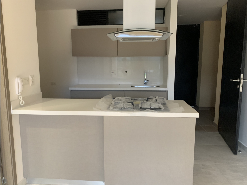 SE VENDE ESPECTACULAR APARTAMENTO EN LA AVENIDA CENTENARIO — foto 4