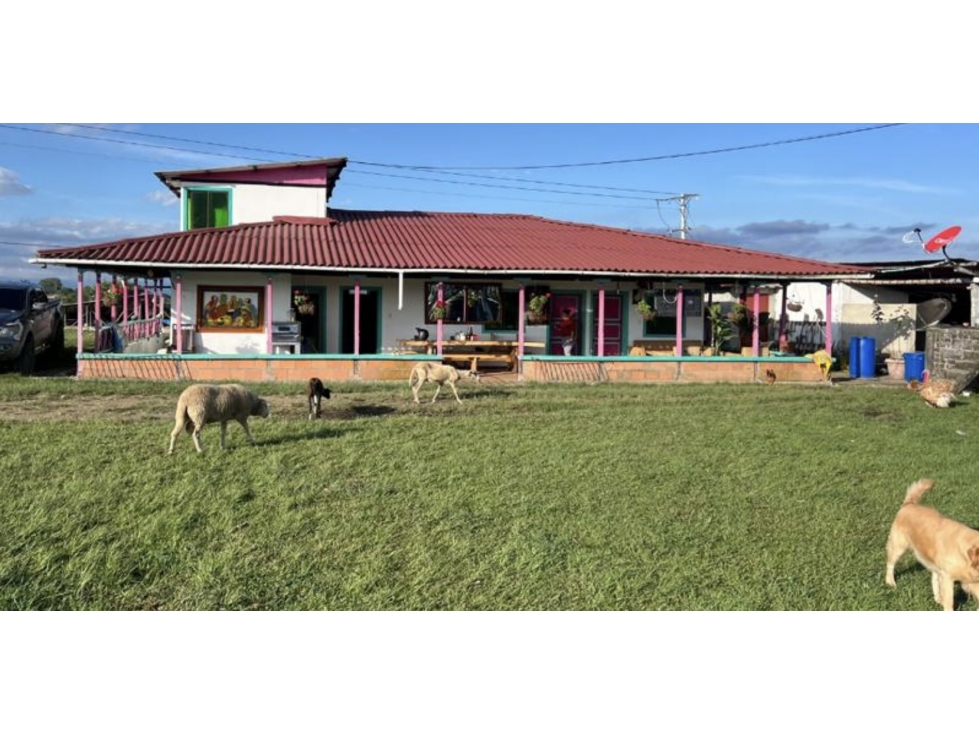 SE VENDE FINCA ENTRE CIRCASIA Y MONTENEGRO VEREDA BARCELONA ALTA - 1
