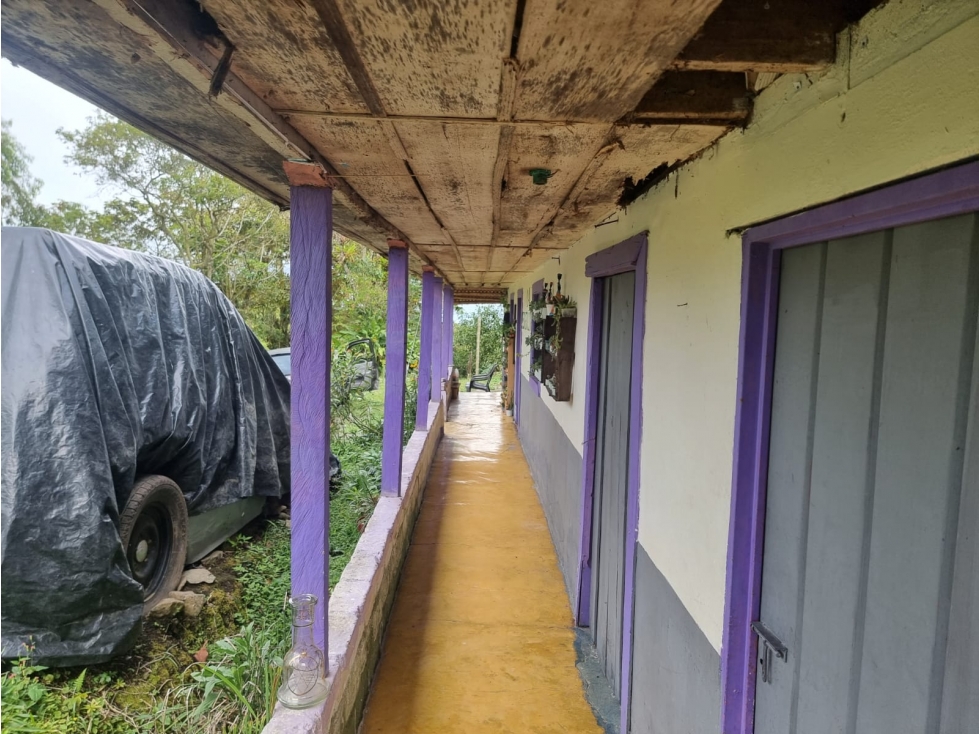 SE VENDE FINCA DE 8.4 CUADRAS EN FILANDIA - 3