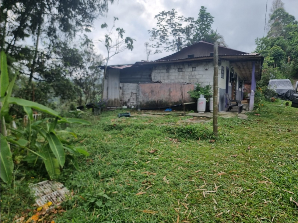 SE VENDE FINCA DE 8.4 CUADRAS EN FILANDIA - 5