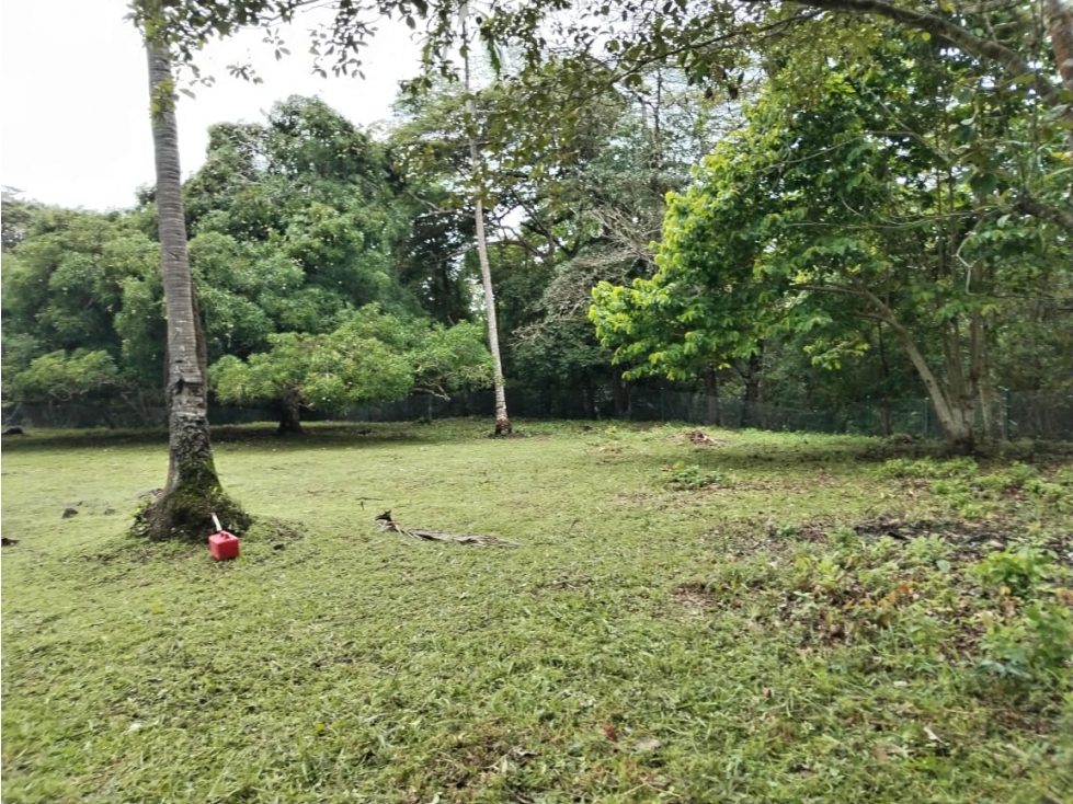 SE VENDE TERRENO EN SAN CARLOS - 7101 JC x RC — foto 4
