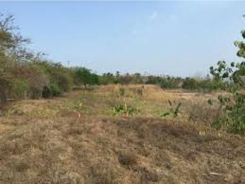 Vendo Terreno en Brisas del Golf ID4360JD