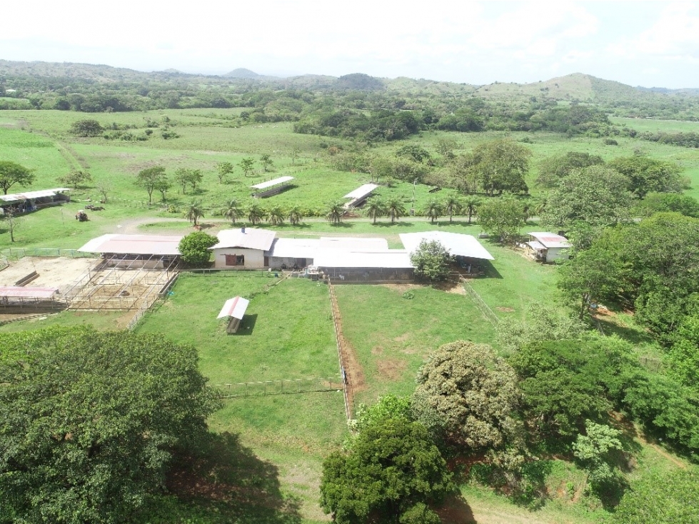 Vendo Finca Ganadera Santiago ID4952JD - 2