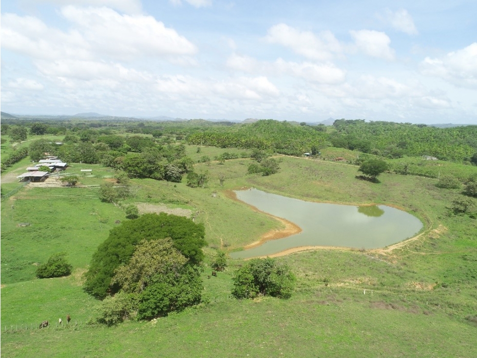 Vendo Finca Ganadera Santiago ID4952JD - 3