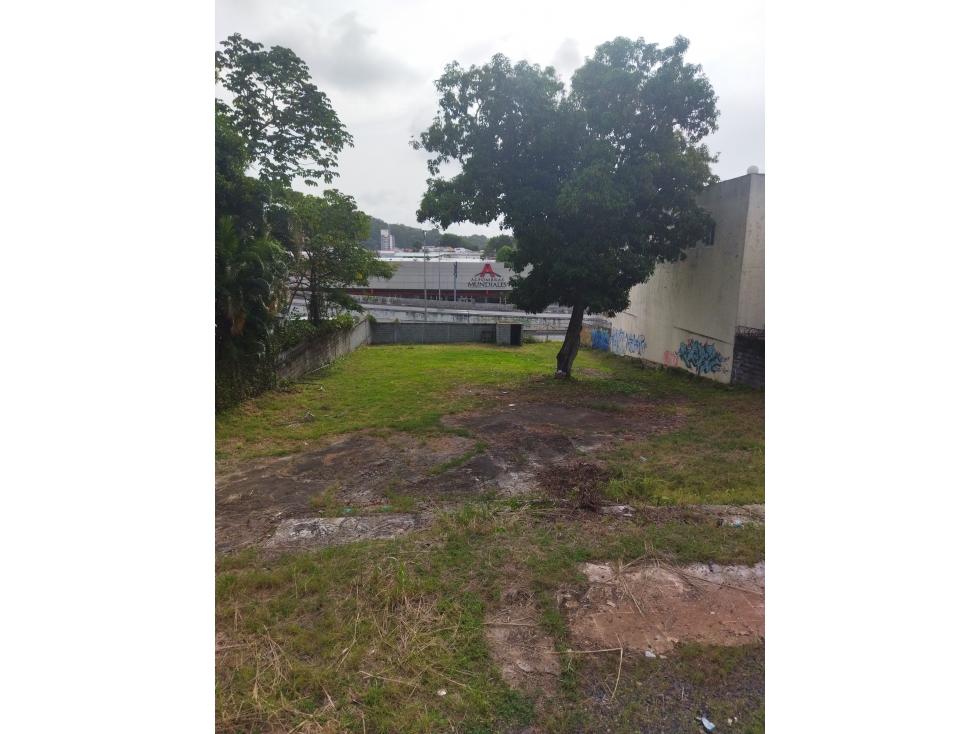 VENTA DE TERRENO COMERCIAL EN RICARDO J ALFARO - 6099jc — foto 2