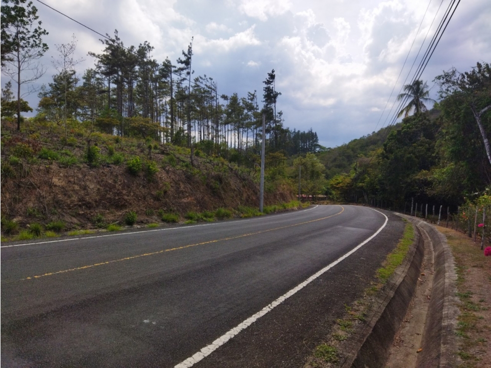 SE REMATA LOTE CAMPESTRE ENTRE PENONOME Y EL VALLE - 6102jc - 3