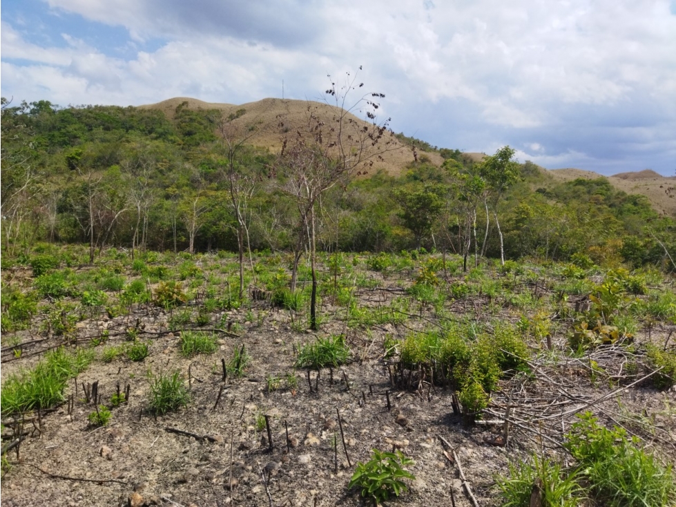 SE REMATA LOTE CAMPESTRE ENTRE PENONOME Y EL VALLE - 6102jc - 5