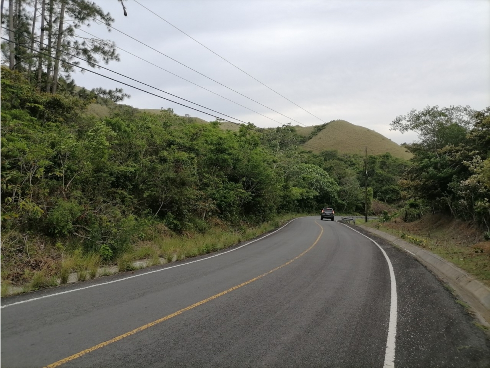 SE REMATA LOTE CAMPESTRE ENTRE PENONOME Y EL VALLE - 6102jc - 6