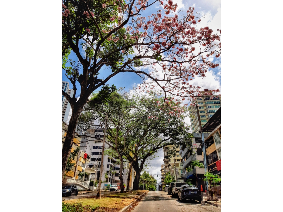 SE VENDE TERRENOS - EN CANGREJO - 6143RC