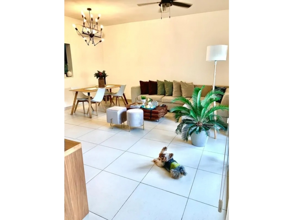 Alquilo extraordinario apartamento amoblado en Howard ID4999901 — foto 3