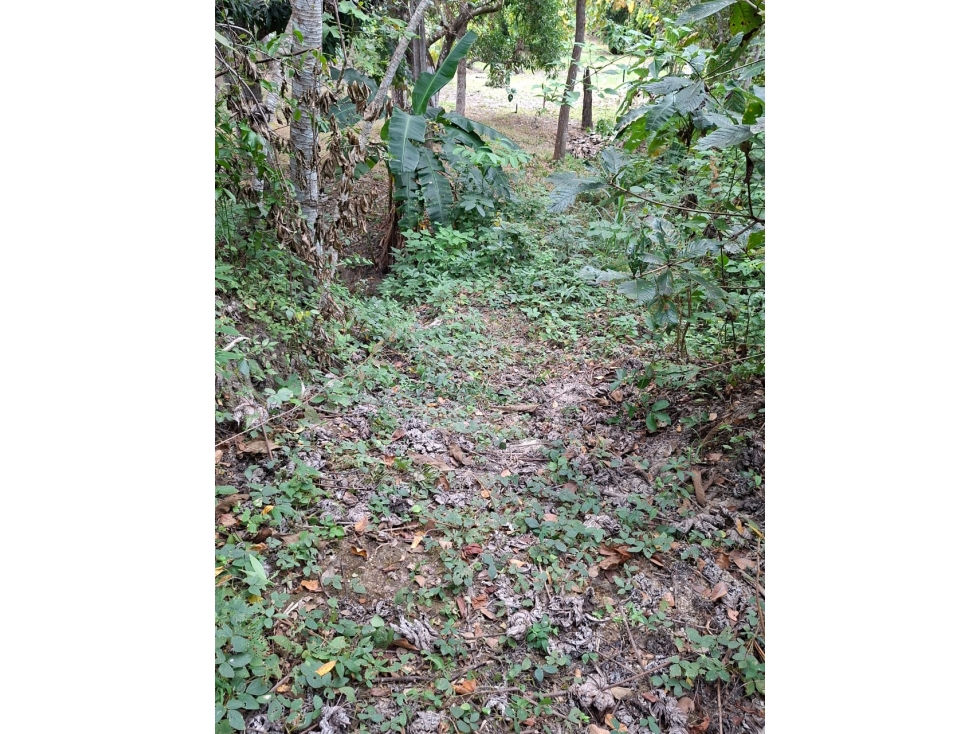 En Venta terreno en el Nance de San Carlos, Panamá Oeste — foto 5
