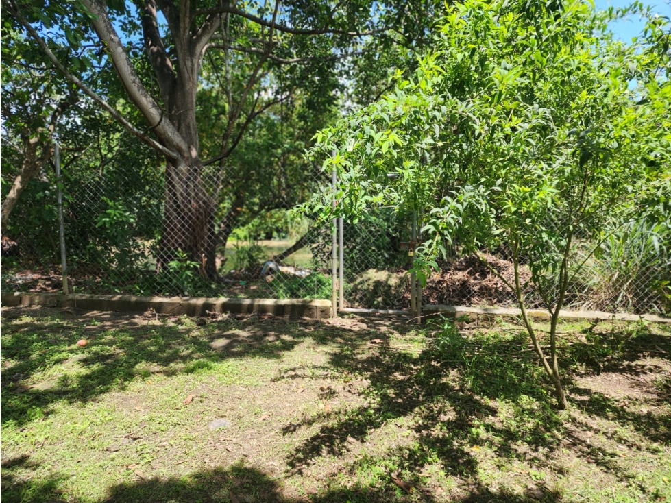 Terreno en Venta de 870 m² en San Carlos, Panamá Oeste — foto 5