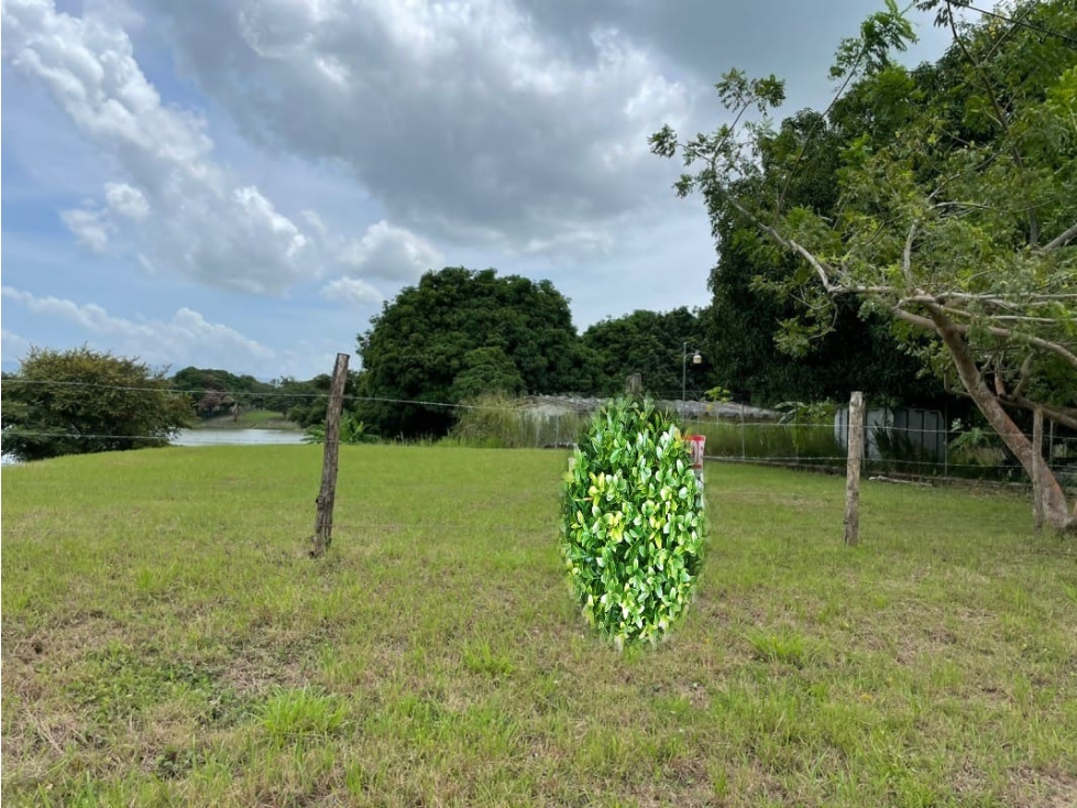 Se Vende Terreno 1,387Mts San carlos USD$100,94 x Mt2 - 2