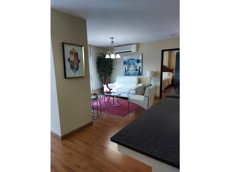 Alquilo Extraordinario apartamento amoblado en avenida balboa — foto 2